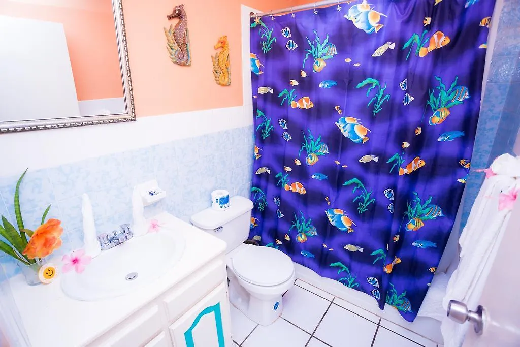 Villa Criss Ocho Rios 0*,